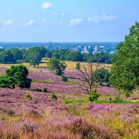 In Nijmegen Near Centre *