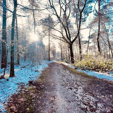 In Nijmegen Near Centre *