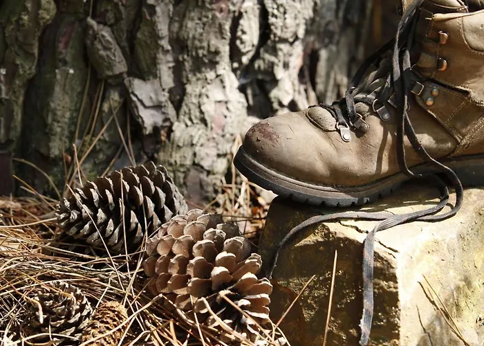 In Nijmegen Near Centre Сasa de vacaciones Mook