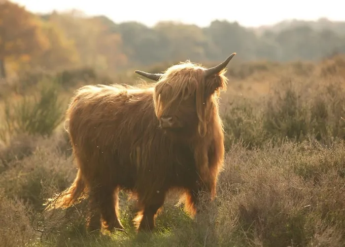 Сasa de vacaciones In Nijmegen Near Centre *