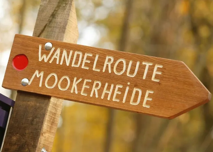 In Nijmegen Near Centre