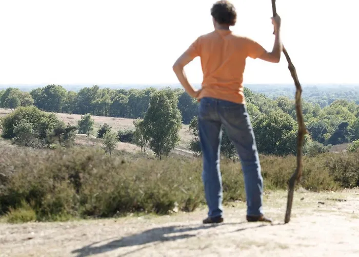 In Nijmegen Near Centre