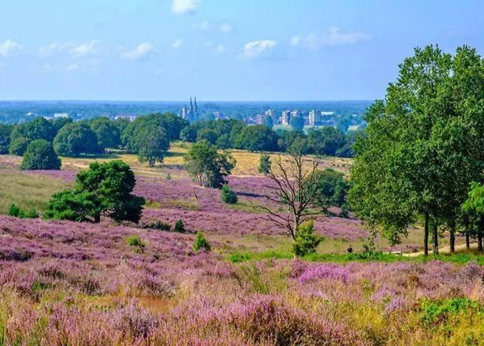 In Nijmegen Near Centre *