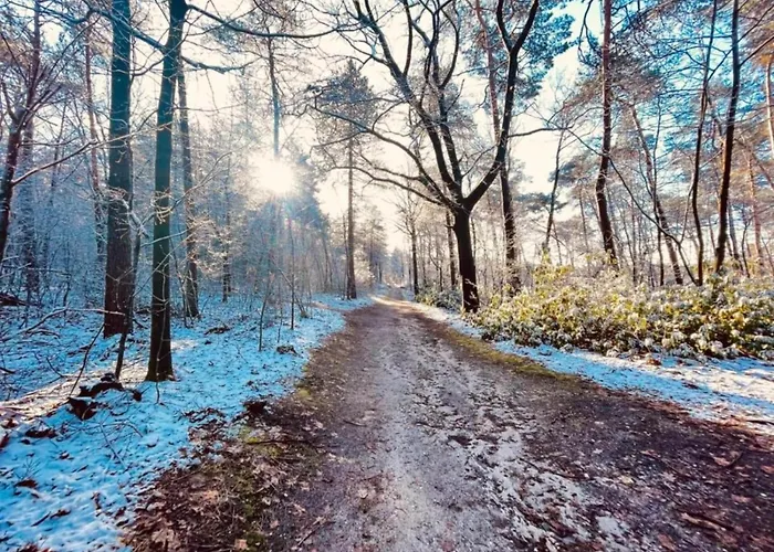 In Nijmegen Near Centre *