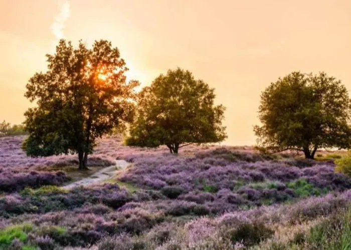 Сasa de vacaciones In Nijmegen Near Centre