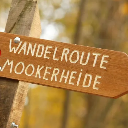 In Nijmegen Near Centre